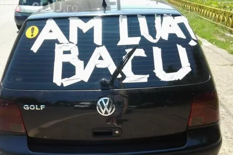 REZULTATE BAC CLUJ 2014 - Sunt 10 medii de ZECE curat. VEZI care este procentul de promovabilitate?