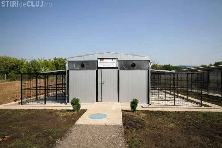 Clujul are, probabil, cel mai modern Centru de îngrijire a câinilor comunitari - FOTO