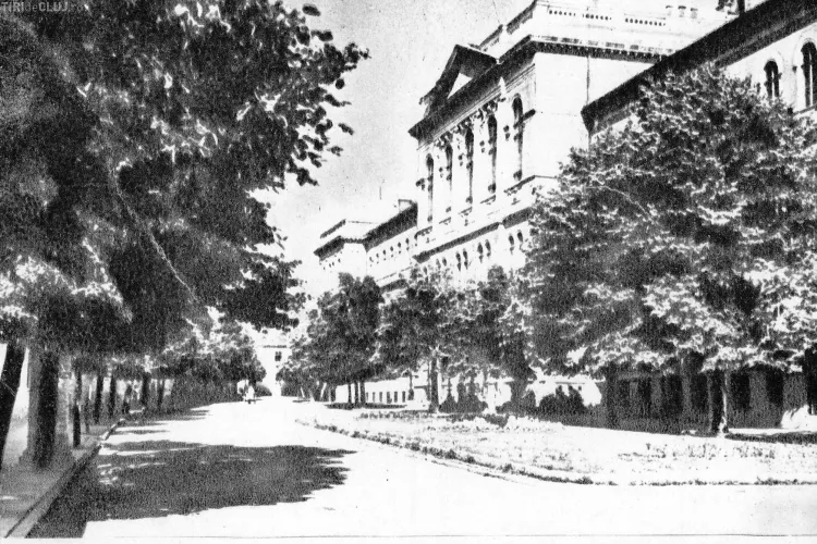 Seri de Vară Clujene pe strada Mihail Kogălniceanu! Istoria străzii este impresionantă - FOTO