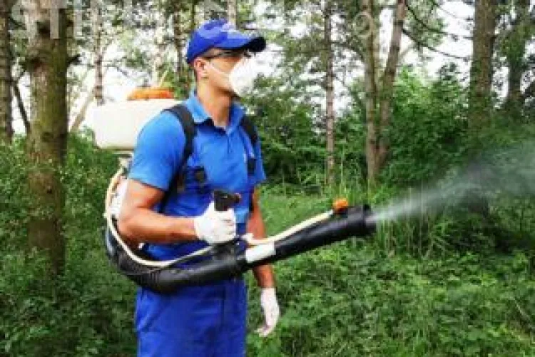 CLUJ: Dezinsecţie de noapte pe domeniul public din oraș