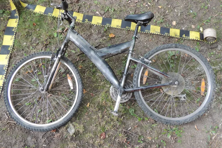 Hoți prinși de polițiști în timpul unei razii la Baciu și Sînpaul. Vezi ce au furat FOTO