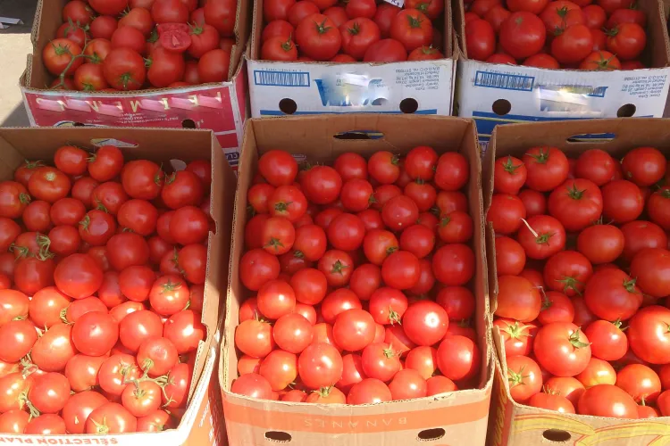 Două clujence au rămas fără marfă după un control al Poliției. Le-au confiscat o tonă de fructe și legume