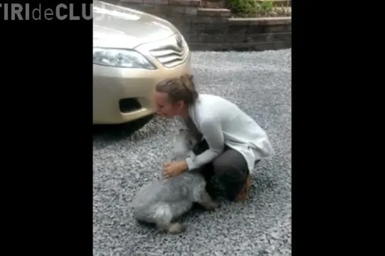 CLIPUL ZILEI Un cățel a leșinat de bucurie când și-a revăzut stăpâna VIDEO