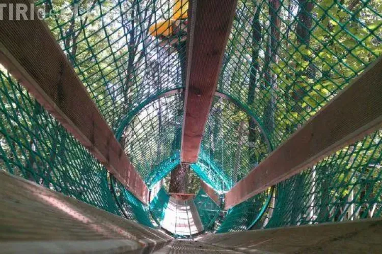 Parc de aventură deschis la Cluj. Va avea trasee suspendate și tiroliene
