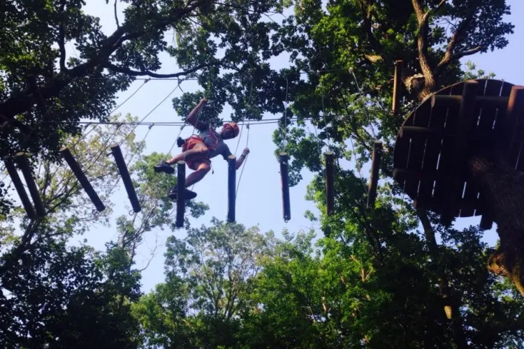 Parcul de aventură de la Micești s-a deschis! VEZI primele imagini cu traseele suspendate - FOTO