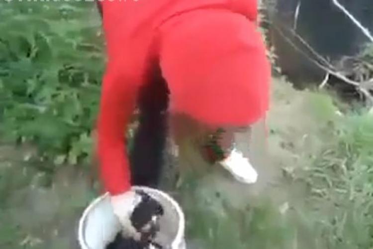 O fată aruncă pui de câine într-un râu! Clipul face isterie pe Facebook. Cine e autoarea acestei cruzimi? - VIDEO