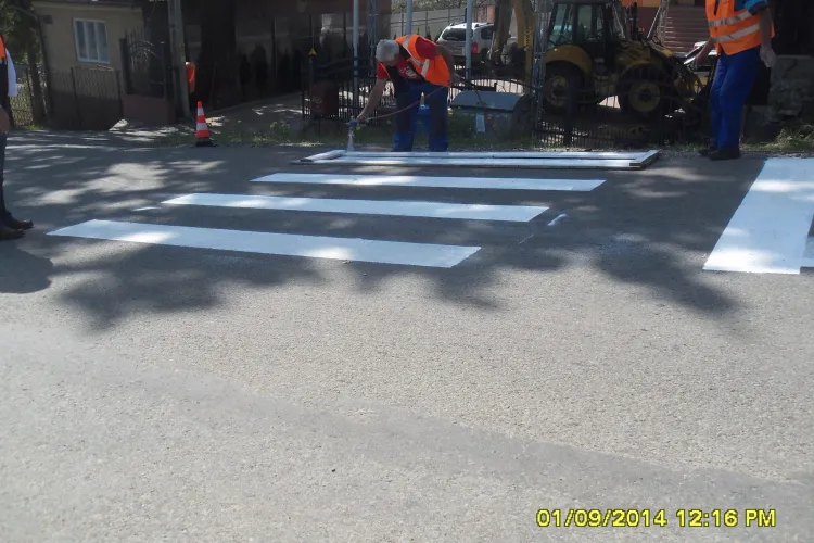 De DOI ANI drumurile județene nu au fost marcate și vegetația nu a fost cosită - FOTO