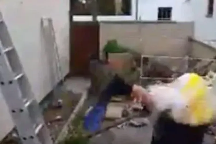 Cel mai tare Ice Bucket Challenge de până acum! Râzi cu lacrimi - VIDEO