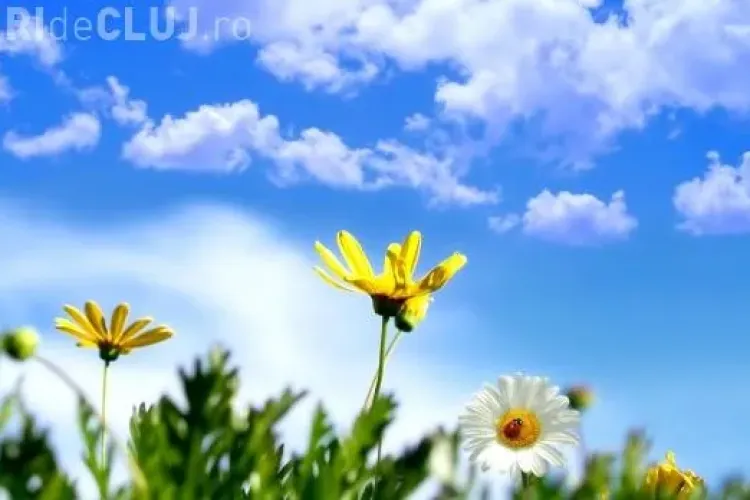 Cum va fi VREMEA în următoarele două săptămâni?