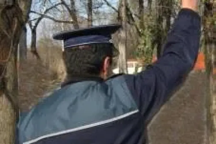 Hoți de lemne la Ciurila - Poliția a tras cu pistolul după hoții de lemne