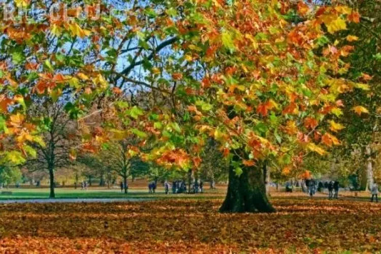 Cum va fi VREMEA în următoarele două săptămâni? Scad temperaturile