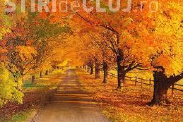 Anunțul făcut de meteorologi. Vezi cum va fi vremea în această toamnă