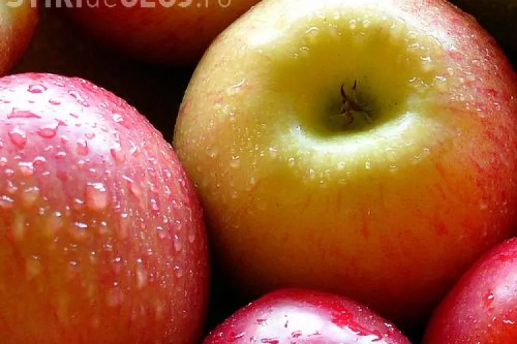 Mere de 1,2 milioane de lei pentru elevii din judetul Cluj. Banii provin de la Uniunea Europeana