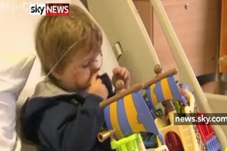 Copil de doi ani, muscat de fata de cainele bunicilor - VIDEO - Atentie Imagini SOCANTE