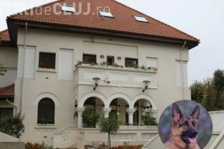 Cainele lui Vantu a fost impuscat de politisti in timpul perchezitiei- VIDEO