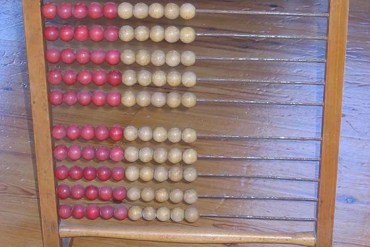 Femeile din PSD Cluj o trag de urechi pe Roberta Anastase: "I-am cumparat o numaratoare"