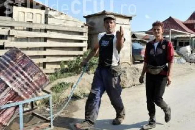 PSD Cluj cere Primariei sa stranga lesurile de animale si gunoaiele pana la vizita echipei Bayern Munchen