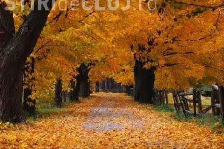 Vreme frumoasa saptamama viitoare. VEZI AICI PROGNOZA!