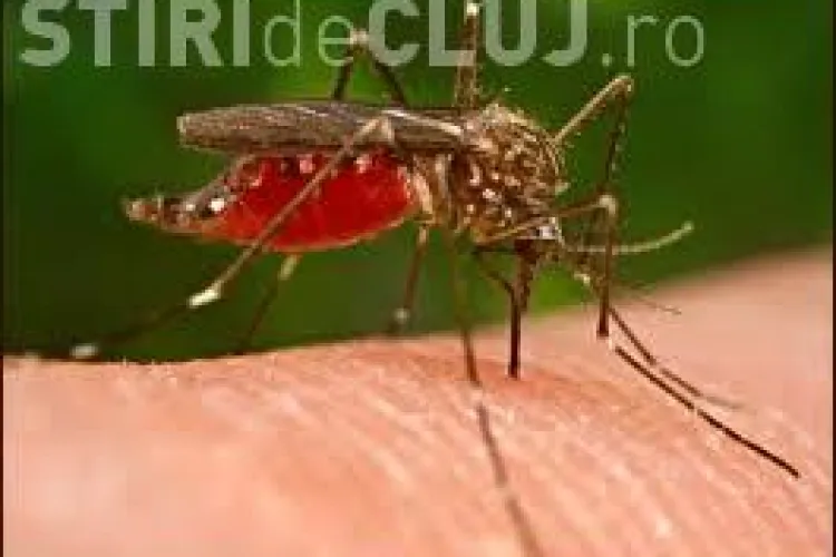 Alt deces din cauza virusului West Nile!
