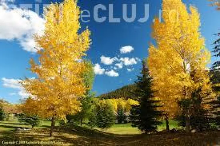 VREMEA pe 2 săptămâni. Sunt ultimele zile calde