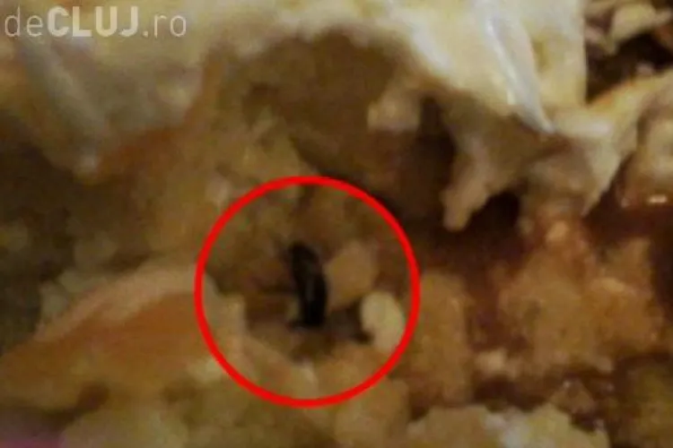 A comandat tochitură dobrogeană, dar ce a primit l-a șocat