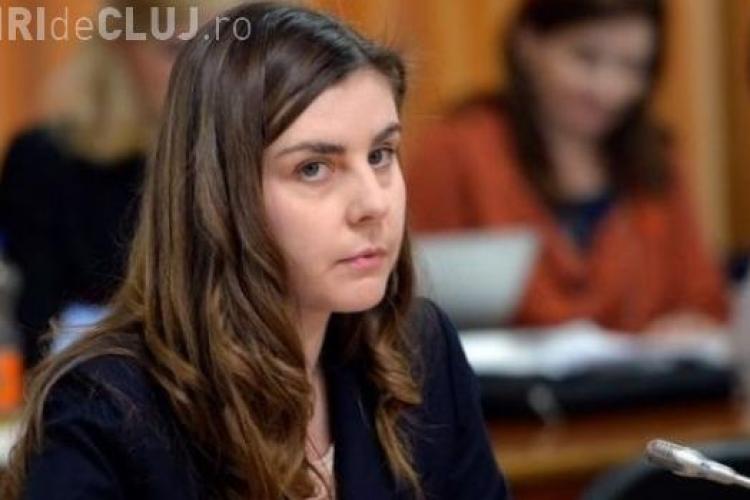 Ce salariu are ministrul Finanțelor, Ioana Petrescu, absolventă de Harvard