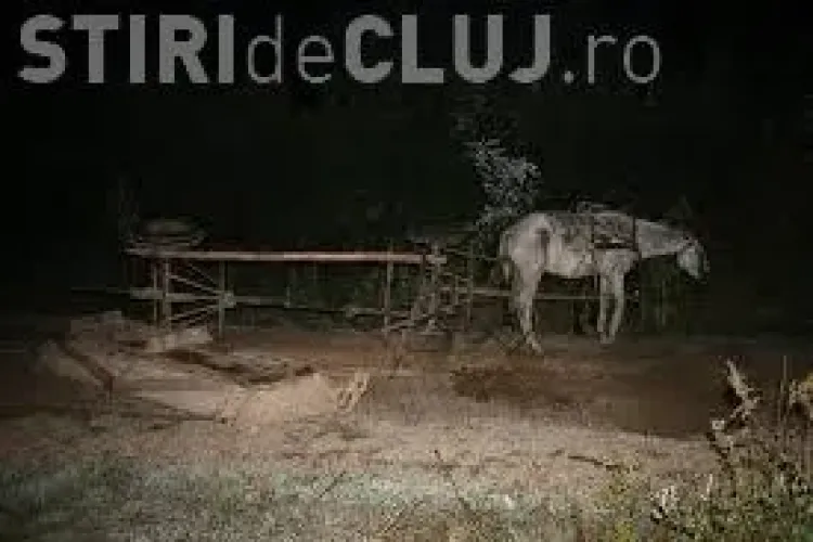 Accident rutier cu două victime la Ciurila. O căruță a ajuns în șanț