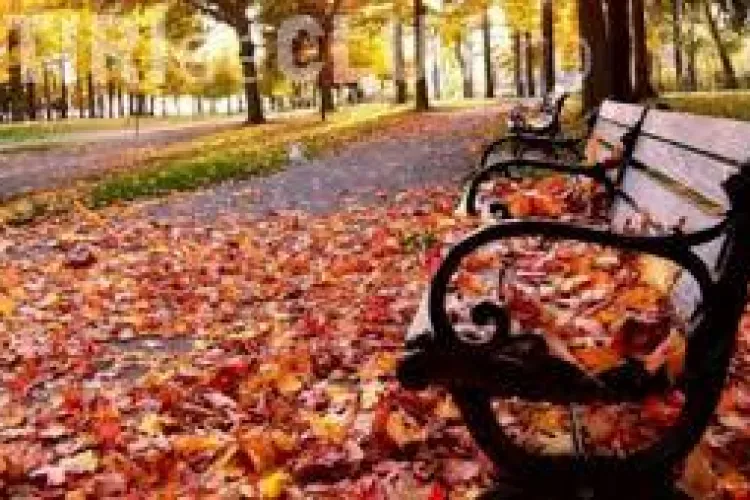 Se încălzește vremea la Cluj în weekend? Ce anunță meteorologii