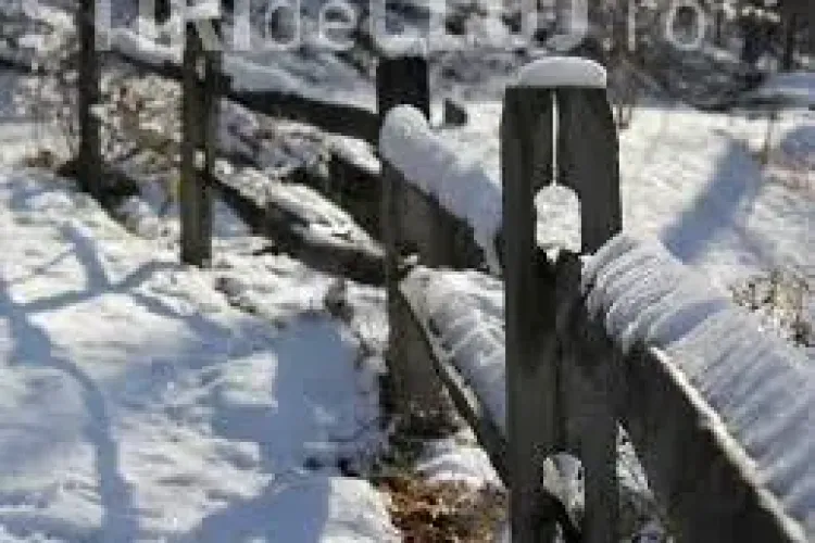 PROGNOZA METEO pe trei luni. Când va ninge