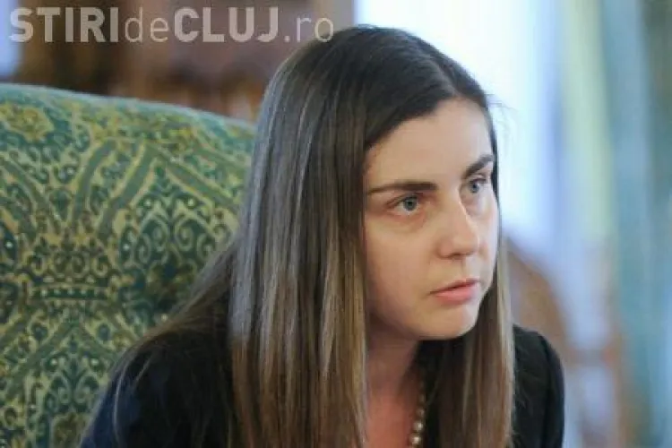 Ministrul Finanțelor, Petrescu: Nu e treaba Guvernului să creeze locuri de muncă