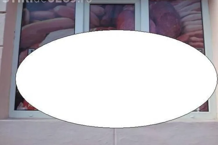 Fotografia campaniei vine de la GHERLA! SUPER ironie la adresa candidaților: Ponta-porc, Udrea-vita, Iohannis-pasare - FOTO