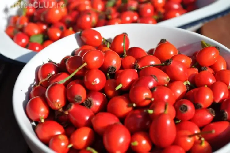 Ce beneficii uimitoare are ceaiul de măceșe   