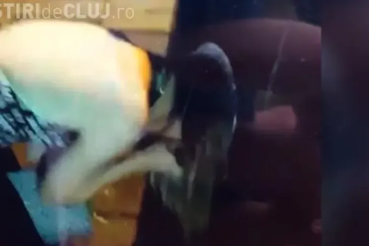 O studentă a rămas blocată cu capul în coșul de gunoi în Marea Britanie. Căuta sticle cu băutură VIDEO