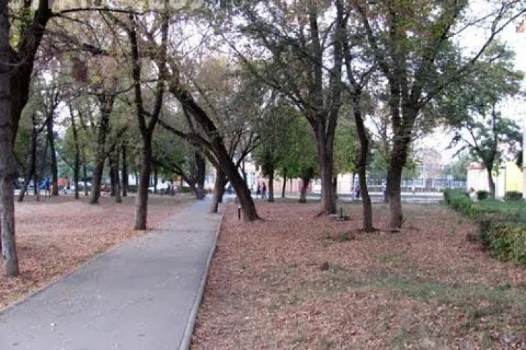 În parcul din Turda nu sunt bănci! Ce spune Primăria despre această problemă