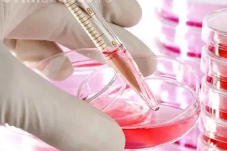 Scandalul de la Cord Blood Center a pornit de la TVA neachitat. Părinții sunt ținuți in CEAȚĂ