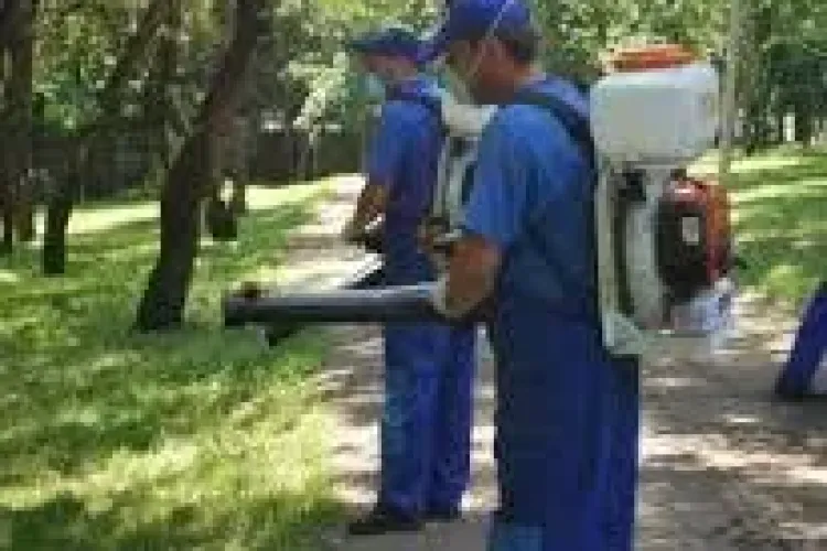 Cluj: Se face deratizare împotriva rozătoarelor. În caz de ingerare accidentală, la UPU este antidot