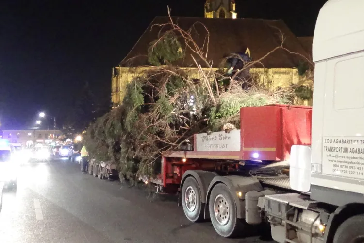Bradul de Crăciun a fost montat în Piața Unirii. Trecătorii au privit cu EMOȚIE operațiunea - VIDEO