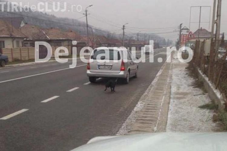 Clujeanul care și-a târât câinele în spatele mașinii e căutat de polițiști