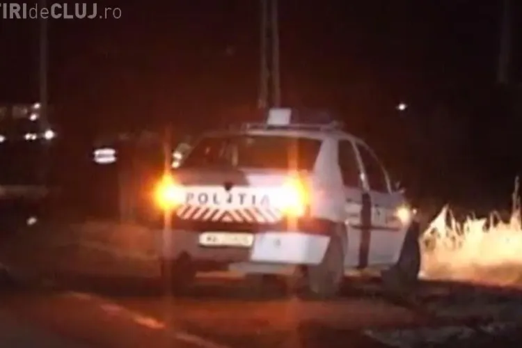 Un cal a cauzat un accident la intrare în Gherla. Animalul a trântit pe jos și un polițist - VIDEO