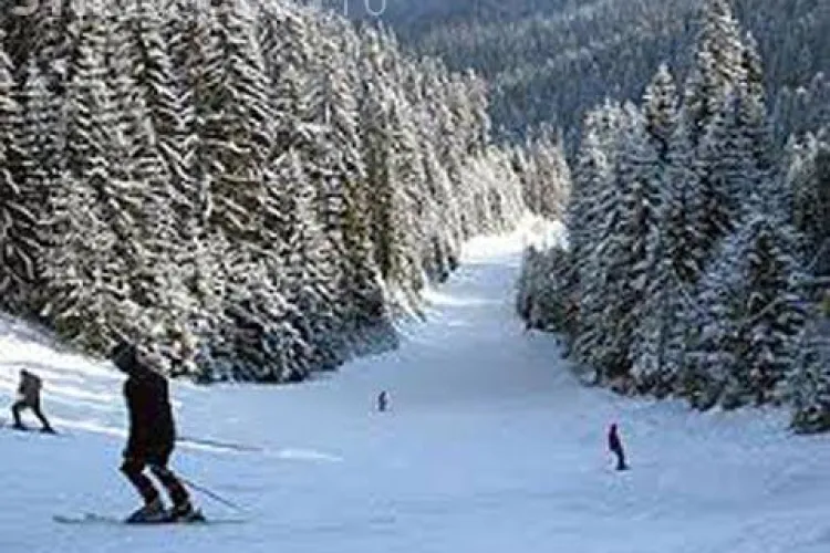 Administrarea pârtiei Băișoara este scoasă la licitație