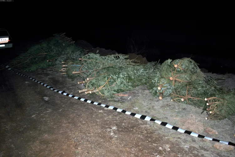 Caz MACABRU la Cluj! Părți din cadavrul unei femei găsite în pădure 