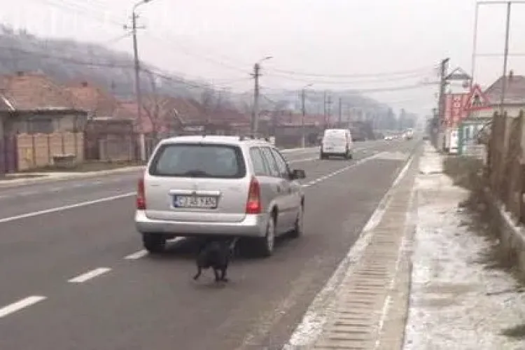 Șoferul clujean care și-a legat câinele de mașină: ”Cainele a sarit din portbagaj!”