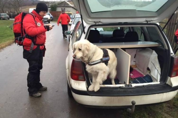 Câinii de salvare din Transilvania au nevoie de ajutorul clujenilor. Cum poți să-i ajuți să ajungă mai ușor la misiuni