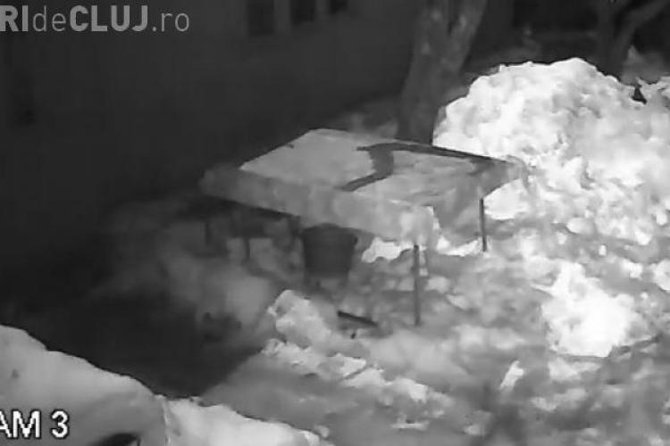 Un meteorit a explodat deasupra României. Imaginile au fost surprinse de camerele de supraveghere - VIDEO