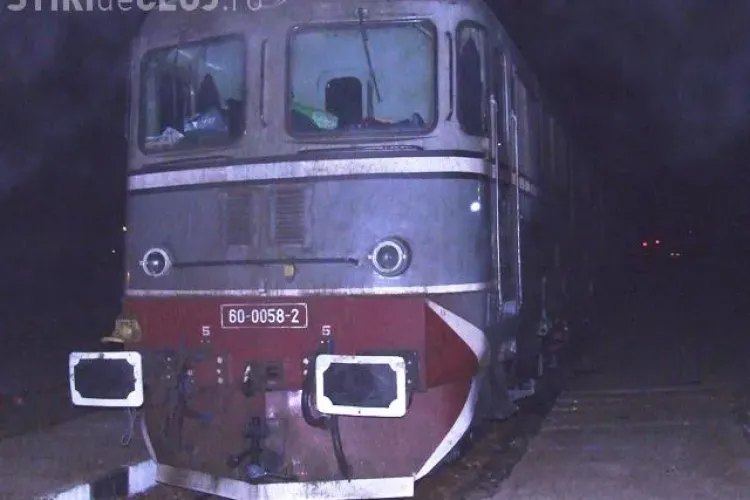 O locomotivă a deraiat la Cluj și a lovit o cireadă de bivoli