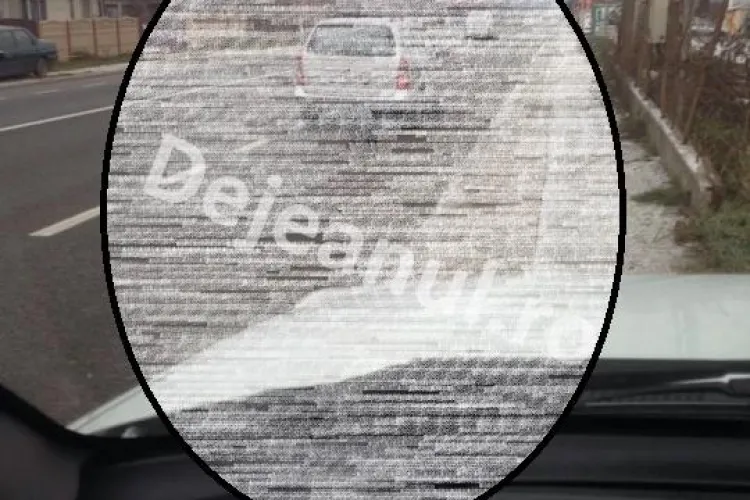 Adevărul în cazul șoferului care și-a tras câinele în spatele mașinii la Gherla: Nu a făcut rău câinelui