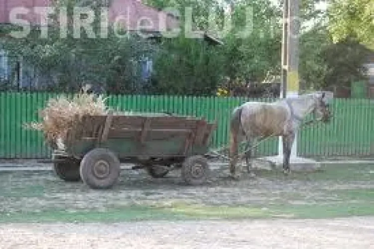 Minor prins la furat în Florești. Avea căruța plină de materiale de construcții