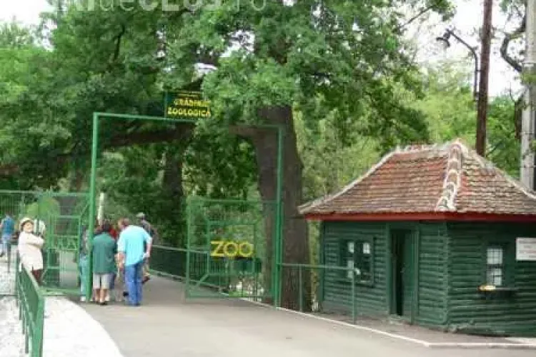 Grădina Zoologică Turda ar putea fi deschisă în acest an