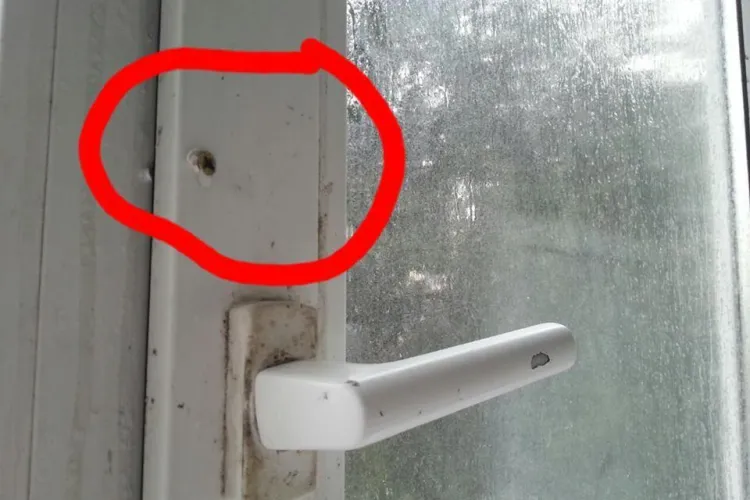 USAMV Cluj explică de ce sunt prinse cu șuruburi geamurile de la sala de dușuri de la un cămin