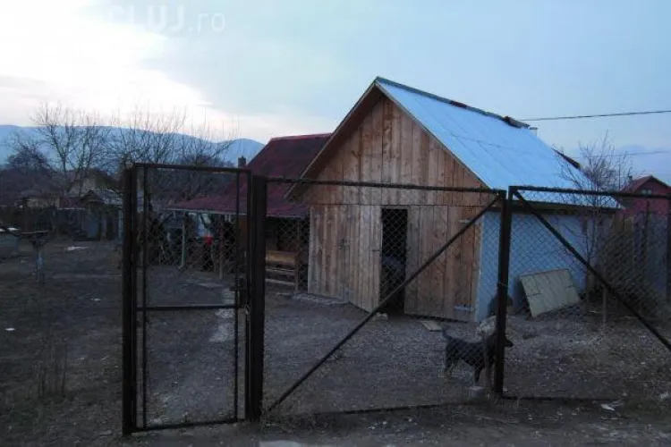 Evadatul de la Cluj se ascundea în cabana unui taximetrist din Alba - VIDEO